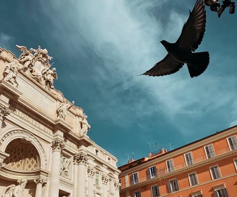 Bellesa, art i transcendència
