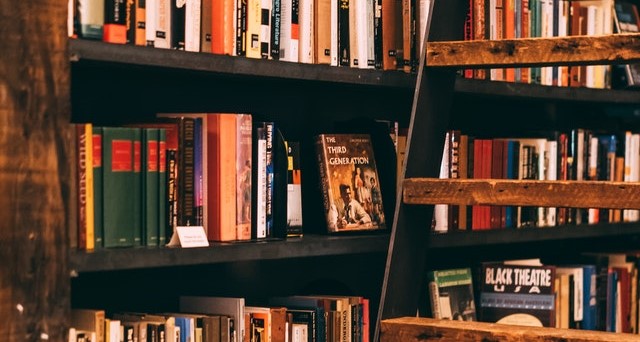 Recepción de la obra bibliográfica de Marçal Moliné