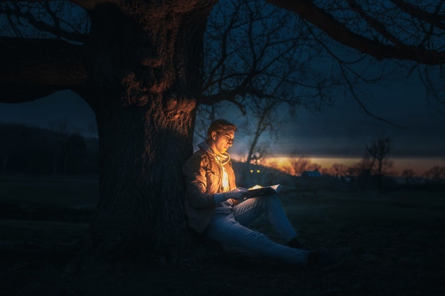 Literatura, mímesis y formación del carácter