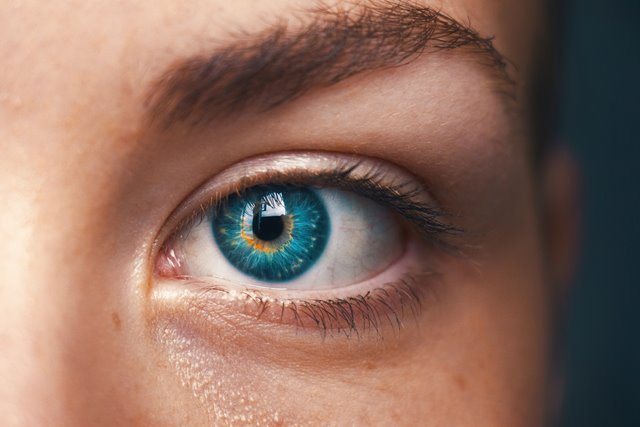 Educar la mirada cap a la inclusió