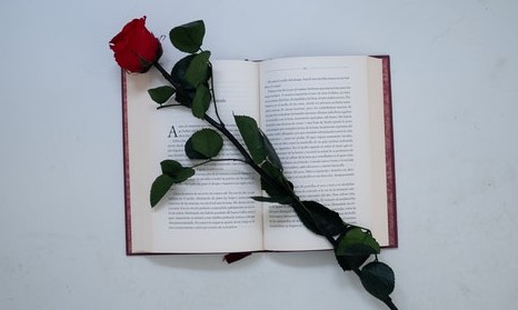 Sant Jordi: cruïlla de solidaritat i cultura