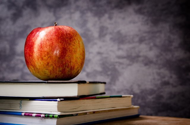 Dos millones de profesores más para garantizar el Derecho a la Educación