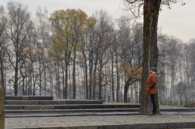 Fets i causes de l'holocaust gitano