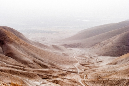Llum sobre l’enigma del Sant Sudari