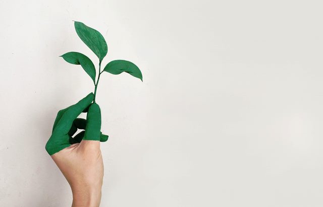 La Universidad como agente de responsabilidad medioambiental