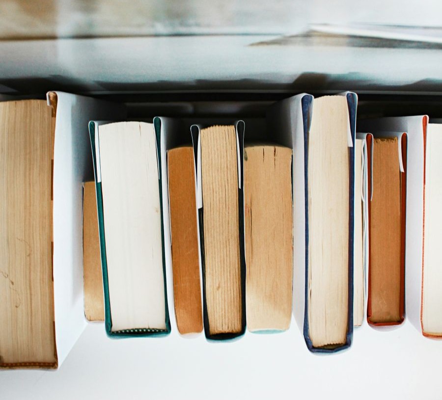 Profesores de Derecho de la Universitat contribuyen en un libro sobre democracia constitucional