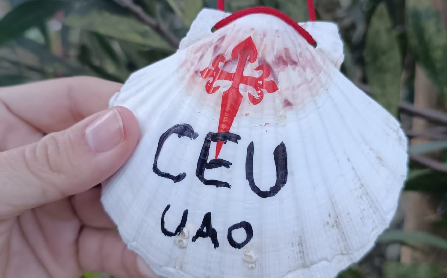 Fer comunitat en la peregrinació 