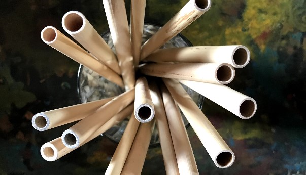 Altruistic and sustainable entrepreneurship with Sabaï straws.